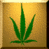 hemp.gif (1724 bytes)